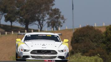 NEWS FLASH: Dyson Dazzles at Sonoma